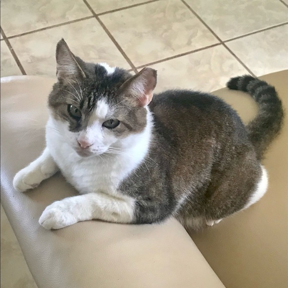 Meet your Posher, Whitney - Picture 7 of 8